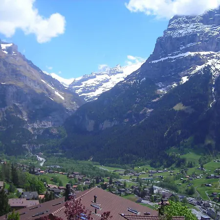 Chalet Aphrodite-2 Daire Grindelwald